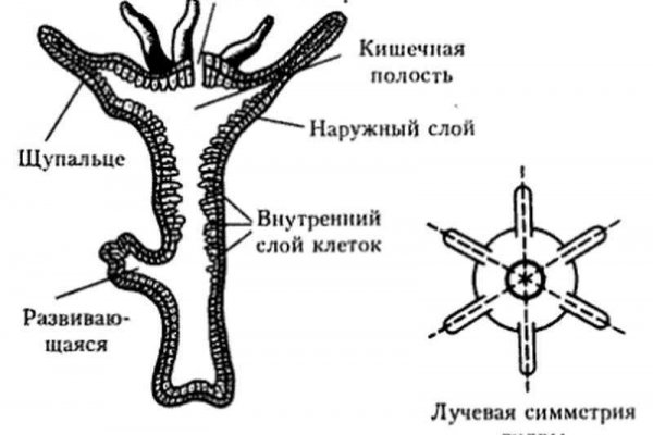 Мега ссылка через впн