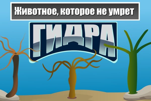 Как зайти на мега через тор браузер